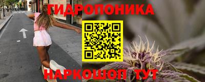 spice Абакан