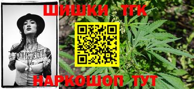 индика Абакан