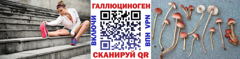 blacksprut ТОР Ачинск Галлюциногенные грибы мицелий