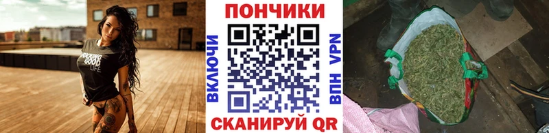 где продают   Ачинск  Бошки марихуана ГИДРОПОН 